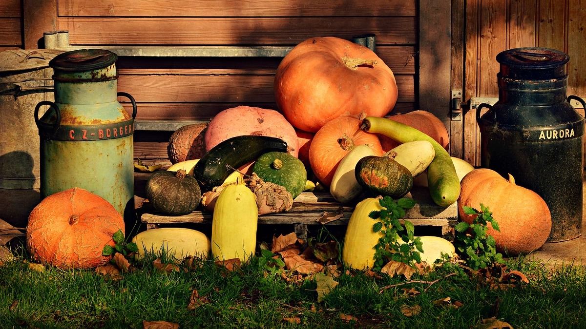 Język polski jako obcy – rozkład materiału do podręcznika „Raz, dwa, trzy i po polsku mówisz Ty!”