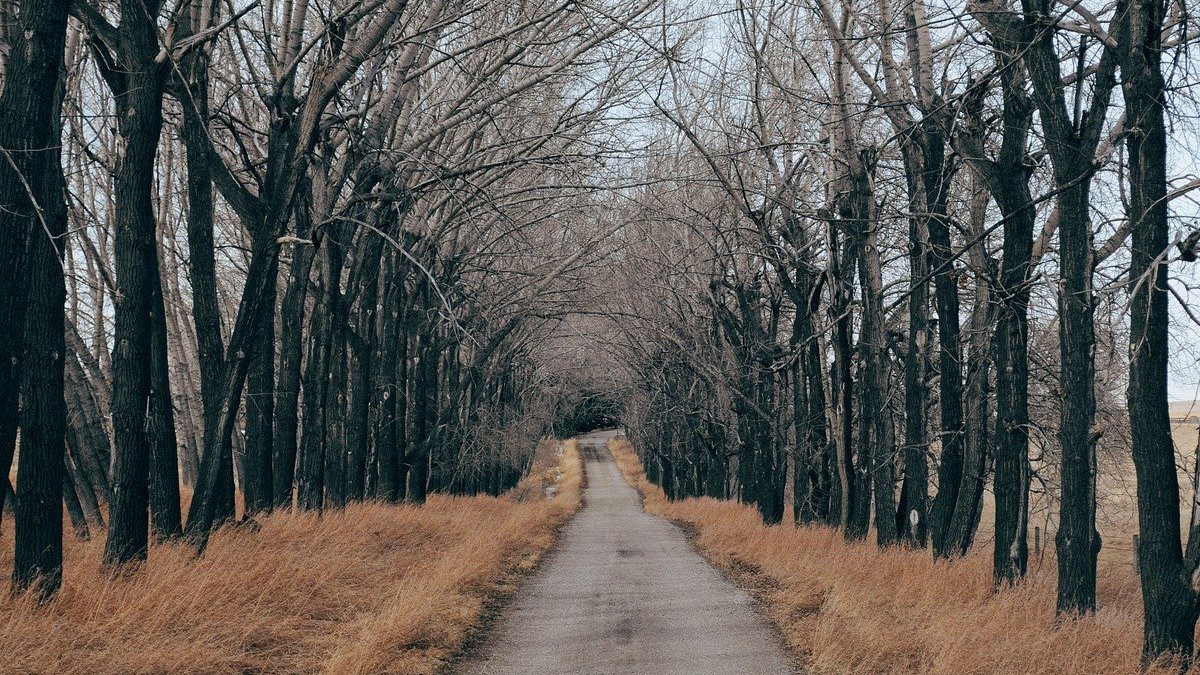 Karty maturalne #4 – romantyzm