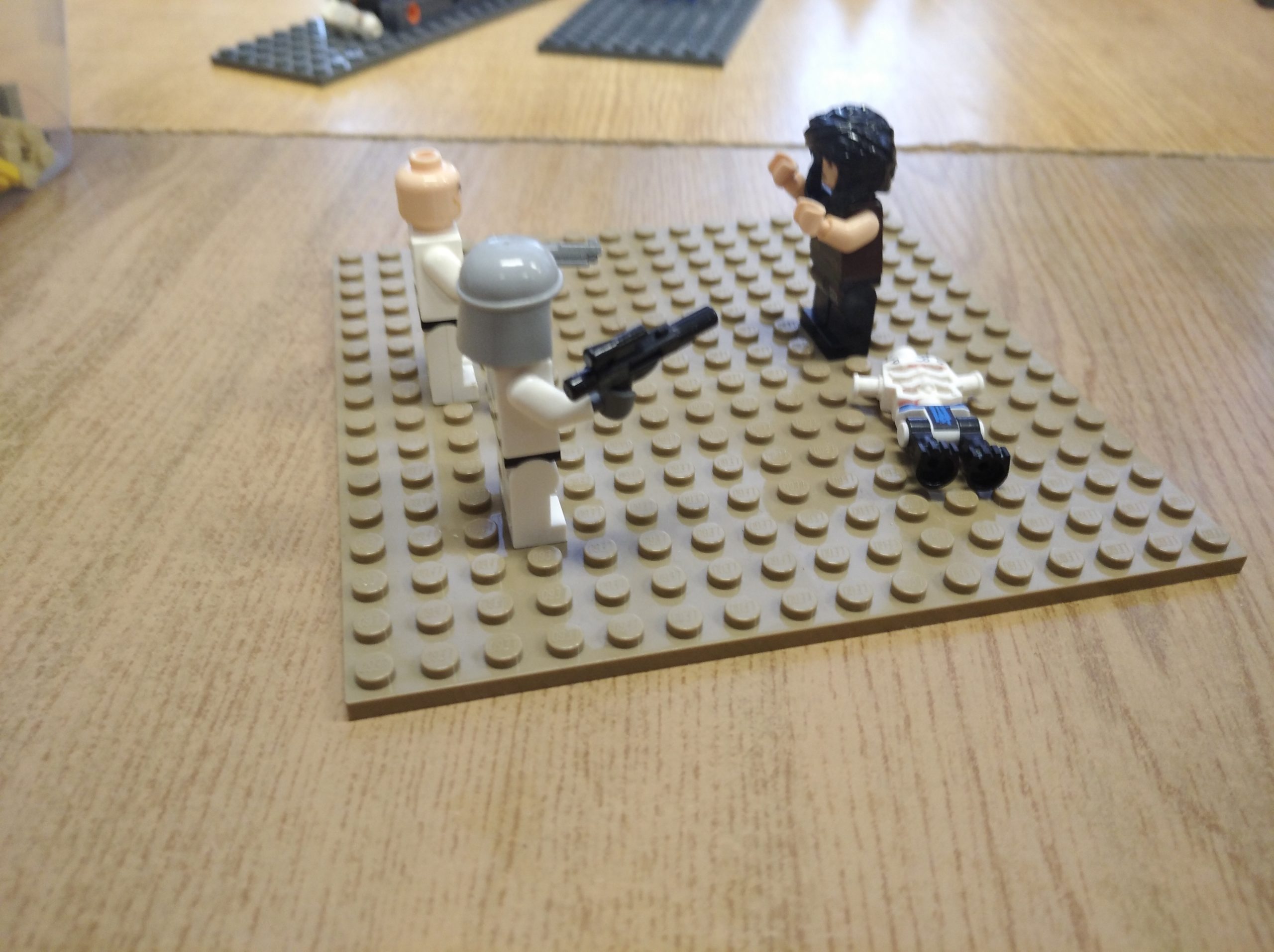 Motyw zbrodni – prace w ramach projektu PPL